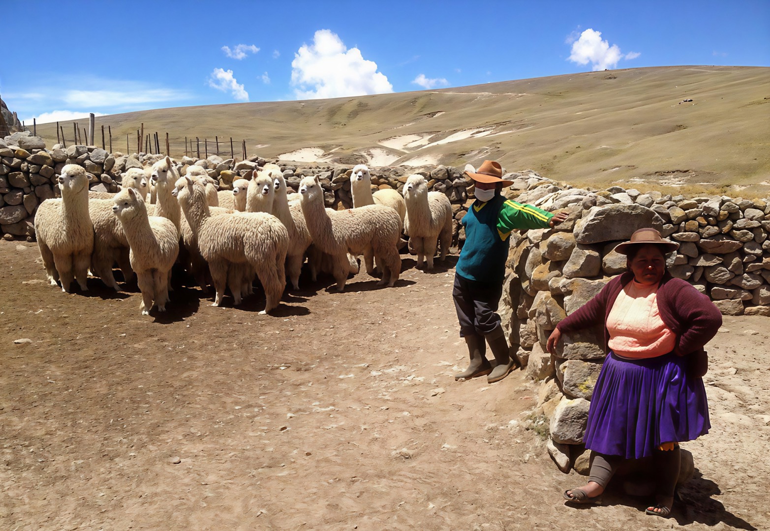 Klimaendringer i Andesfjellene